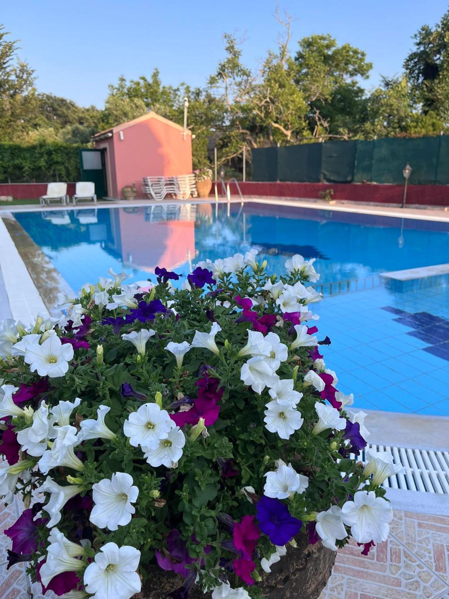 Gregory-Vassilis Apartments Дасия Екстериор снимка